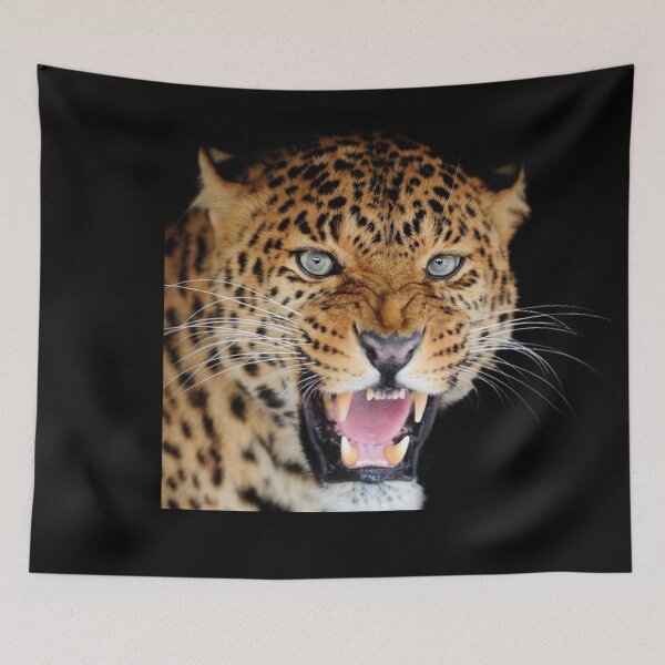 Item preview, BIG ANGRY CATS designed and sold by THE AMERICAN TEEVANGELIST.