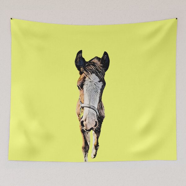Item preview, KASiDa Stable Baby Ojo designed and sold by KASiDaShop.