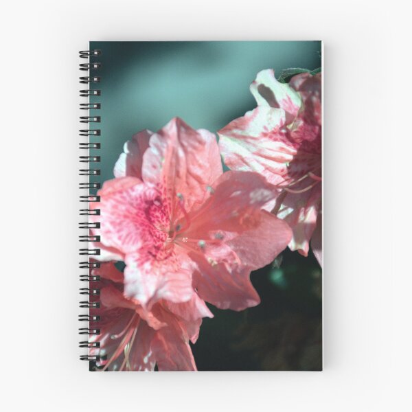 Item preview, Blooming Azalea designed and sold by MercerImages.