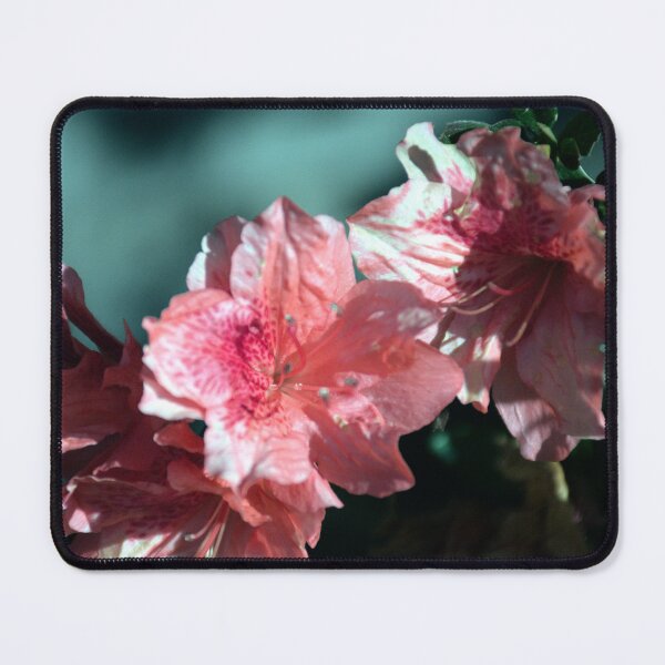 Item preview, Blooming Azalea designed and sold by MercerImages.