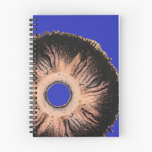 Item preview, Hero Fungi and Heroine Funga Psychedelic Psilocybe Cubensis Mushrooms Spore Canvas Photographic Art Print designed and sold by Zenithara.