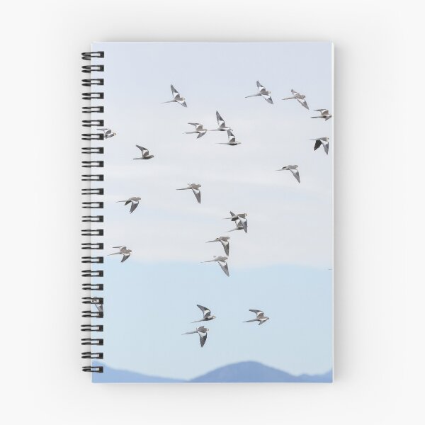 Item preview, Cockatiels in flight designed and sold by Jade Welch.