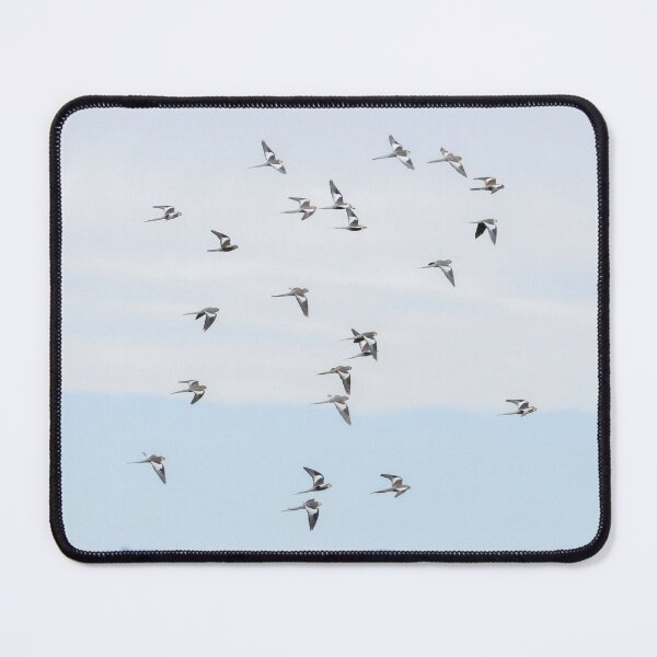 Item preview, Cockatiels in flight designed and sold by Jade Welch.