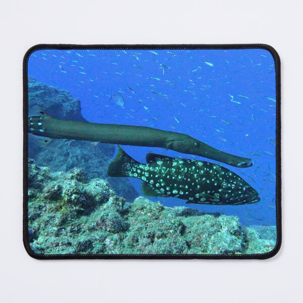 Item preview, Trumpetfish and friend swimming in Garajau designed and sold by SLGA-Designs.