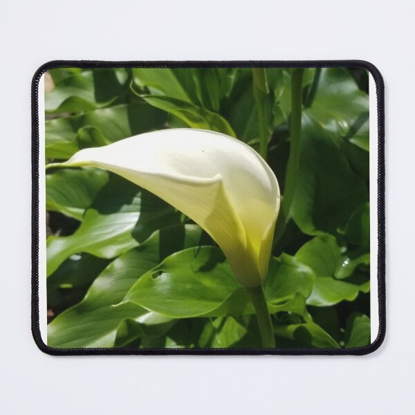 Item preview, Peace Lily designed and sold by HeartisticSoul.