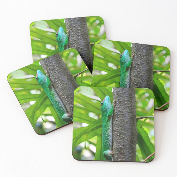 Item preview, Madagascar day gecko designed and sold by ChicVoyagePics.