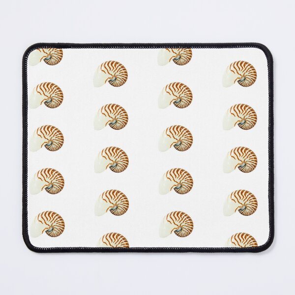 Item preview, Nautilus seashell isolated on white  designed and sold by urzga.