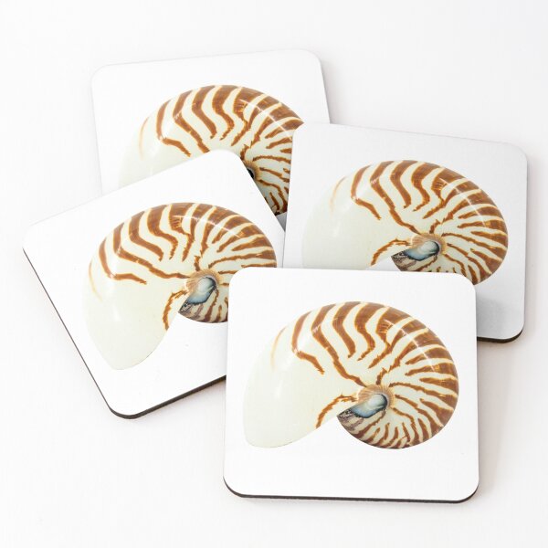 Item preview, Nautilus seashell isolated on white  designed and sold by urzga.