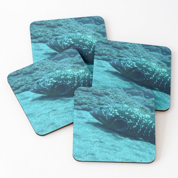 Item preview, GIANT Grouper swimming in Garajau designed and sold by SLGA-Designs.