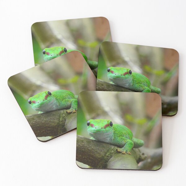 Item preview, Smiling Madagascar Day Gecko designed and sold by ChicVoyagePics.