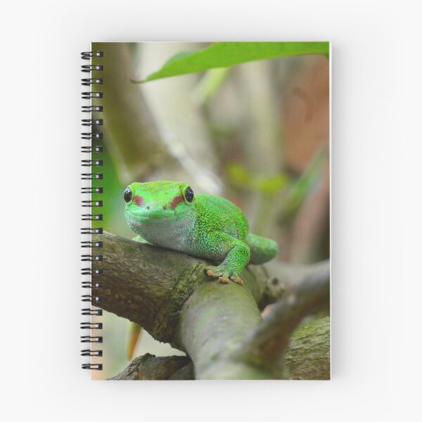 Item preview, Smiling Madagascar Day Gecko designed and sold by ChicVoyagePics.
