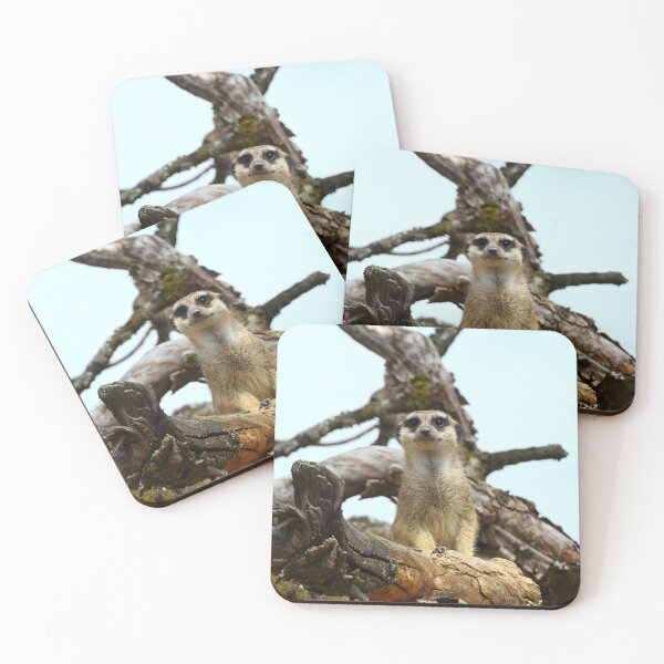 Item preview, meerkat designed and sold by ChicVoyagePics.