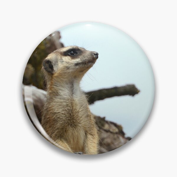 Item preview, Curious meerkat designed and sold by ChicVoyagePics.