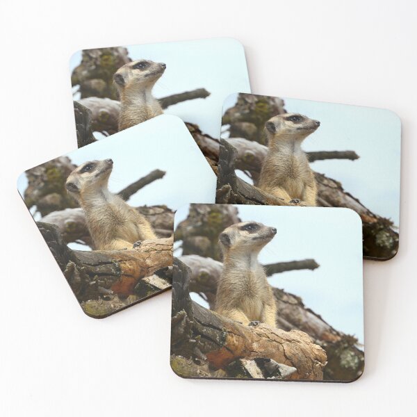 Item preview, Curious meerkat designed and sold by ChicVoyagePics.