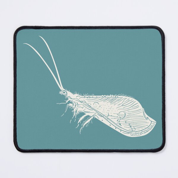 Item preview, little beaded lace wing x designed and sold by lizlittlesky.