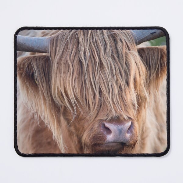Item preview, Highland Cow II designed and sold by David Lichtneker.