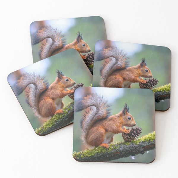 Item preview, squirrel with a cone designed and sold by psychoshadow.