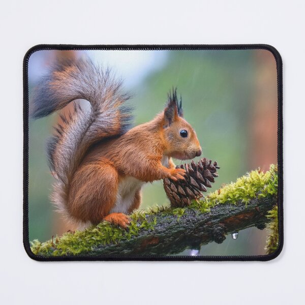 Item preview, squirrel with a cone designed and sold by psychoshadow.
