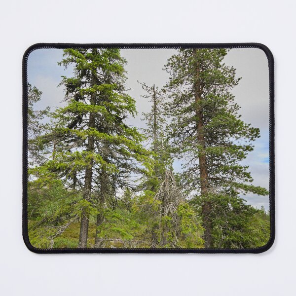 Item preview, Two high. Pyha Nattanen 30 designed and sold by Jouko Lehto Photography.