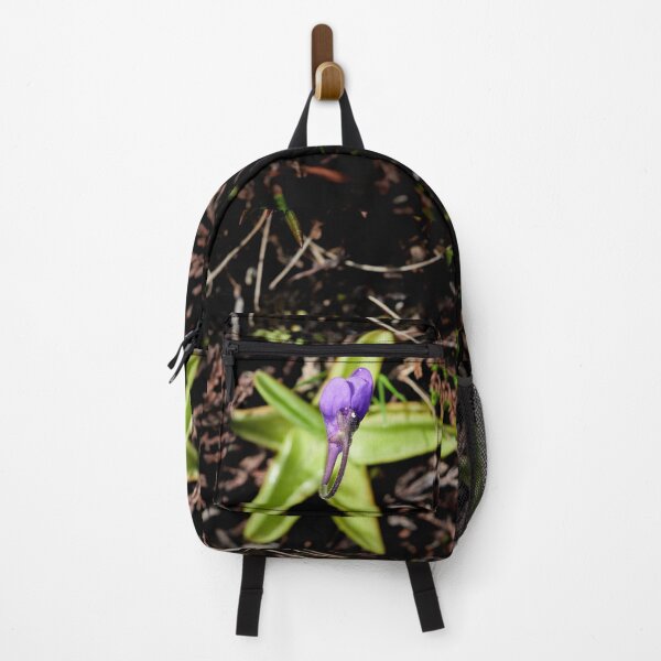 Item preview, Stars on the grouond. Common butterwort designed and sold by Jouko Lehto Photography.