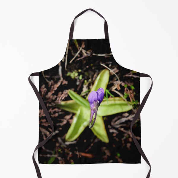 Item preview, Stars on the grouond. Common butterwort designed and sold by Jouko Lehto Photography.