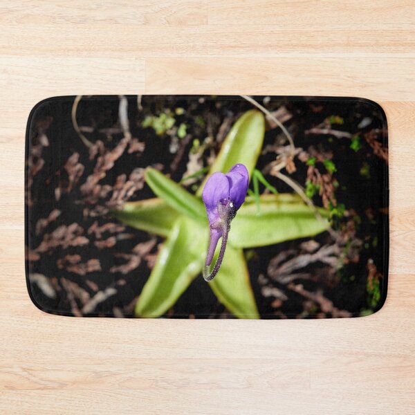 Item preview, Stars on the grouond. Common butterwort designed and sold by Jouko Lehto Photography.