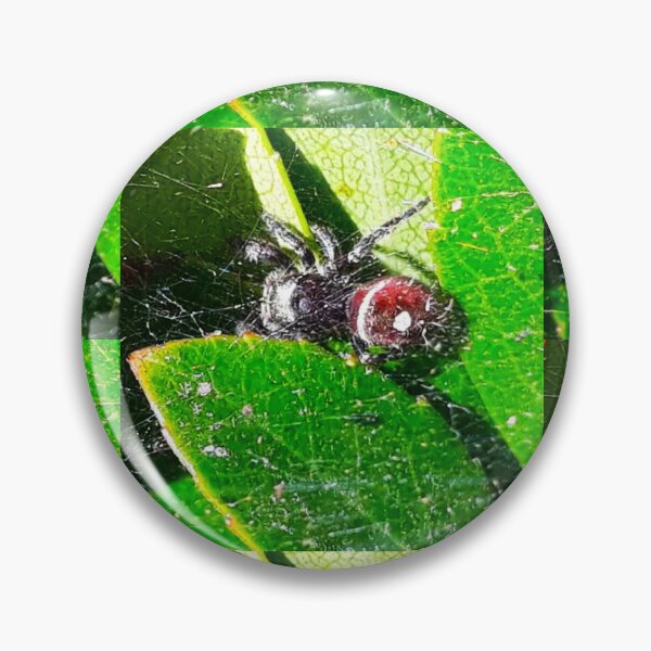 Artikelvorschau, Bunte Spinne entworfen und verkauft von craftsbydaphy.