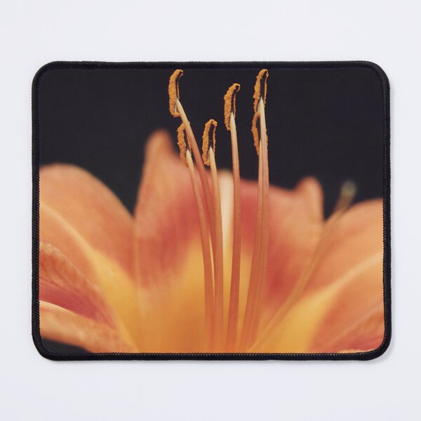 Item preview, Daylily closeup Orange and Yellow designed and sold by DesignsAndDocs.