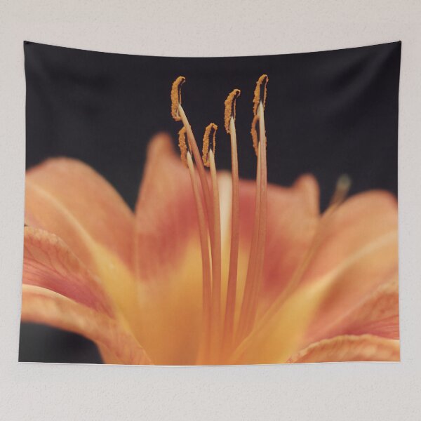 Item preview, Daylily closeup Orange and Yellow designed and sold by DesignsAndDocs.