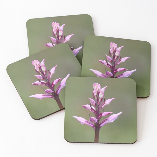 Item preview, Early. Early marsh-orchid designed and sold by Jouko Lehto Photography.