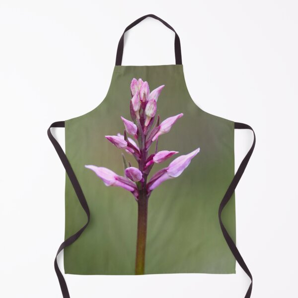 Item preview, Early. Early marsh-orchid designed and sold by Jouko Lehto Photography.