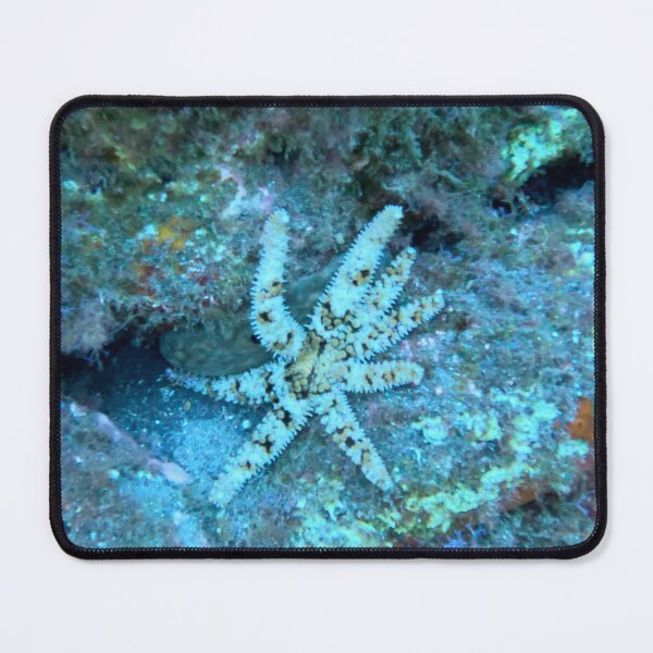 Item preview, Starfish swimming in Garajau designed and sold by SLGA-Designs.
