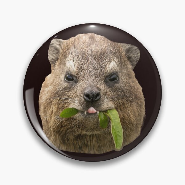 Item preview, Rock Hyrax Being Cute And Eating a  Leaf designed and sold by mrhyrax.