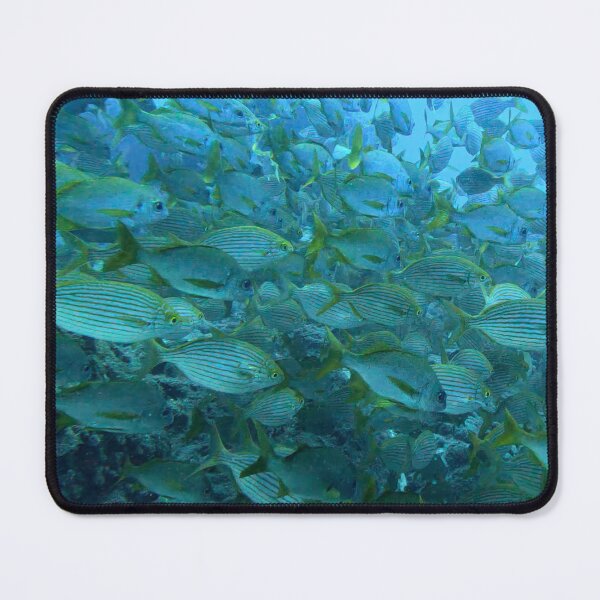 Item preview, Large group of fish swimming in Garajau designed and sold by SLGA-Designs.