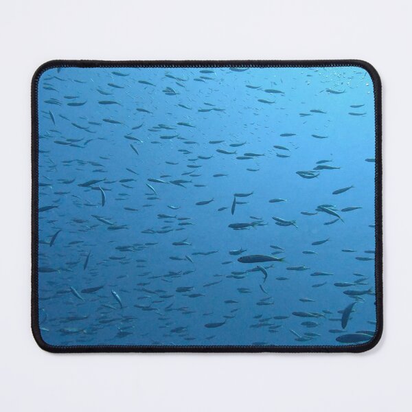 Item preview, Large group of small fish swimming in Garajau designed and sold by SLGA-Designs.