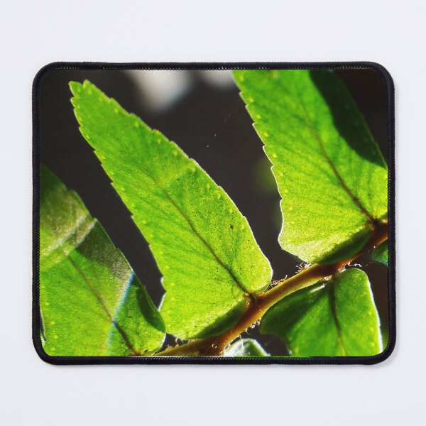 Item preview, Sunlight through the fern designed and sold by HenryLt4.
