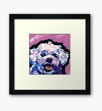Maltesischer Hund Helle bunte Pop-Hundekunst Gerahmtes Wandbild