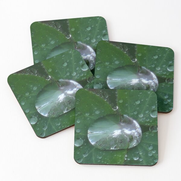 Item preview, Macro Raindrop is the Whole World designed and sold by SXW Designs.