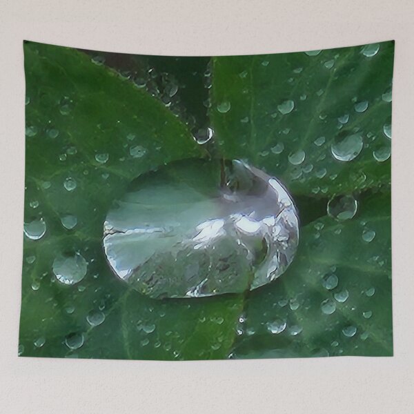 Item preview, Macro Raindrop is the Whole World designed and sold by SXW Designs.
