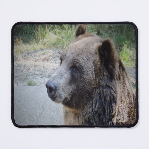 Item preview, BROWN BEAR designed and sold by RachelMacht.