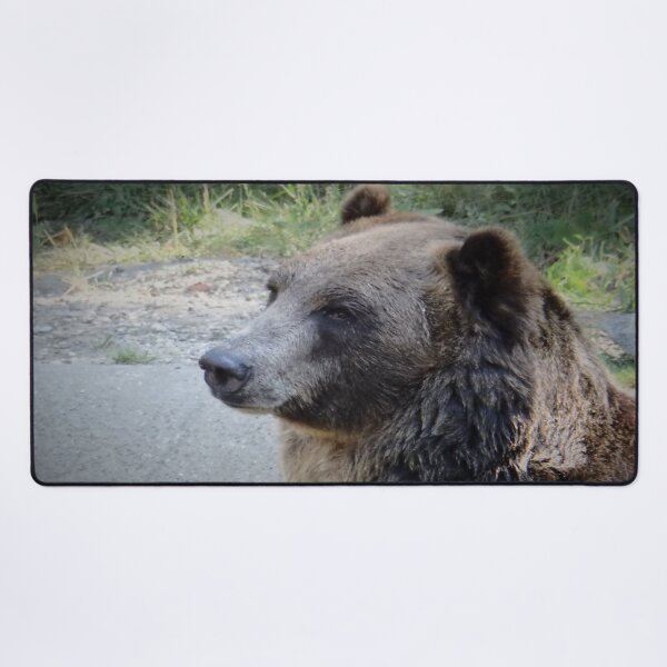 Item preview, BROWN BEAR designed and sold by RachelMacht.