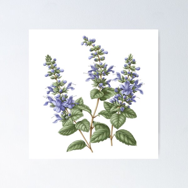 Item preview, Herbal Garden Plant Catmint in Bloom designed and sold by Artcurrents.