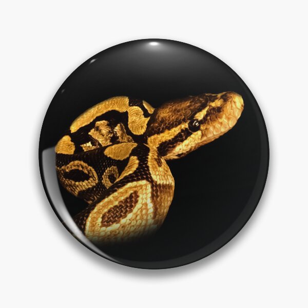Artikelvorschau, Python entworfen und verkauft von Guardi71.