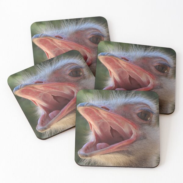 Item preview, Ostrich screaming designed and sold by HenryLt4.