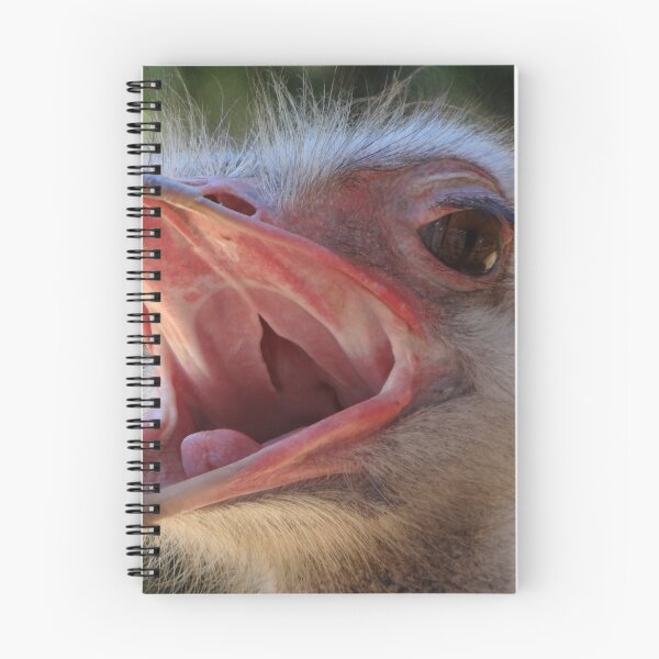 Item preview, Ostrich screaming designed and sold by HenryLt4.