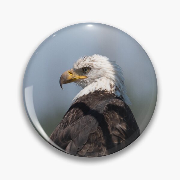 Item preview, Bald Eagle designed and sold by Andrea King.