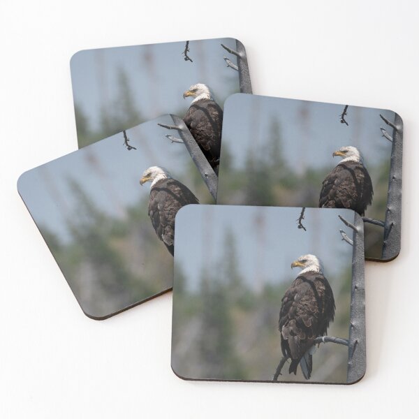 Item preview, Bald Eagle designed and sold by Andrea King.