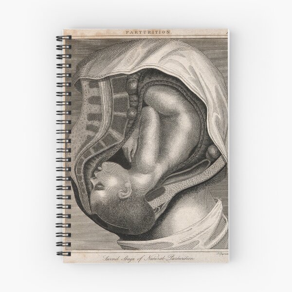 Item preview, Second Stage of Natural Parturition, J. Chapman, 1821 designed and sold by A APART T.