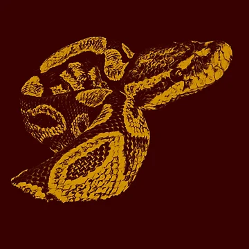 Artwork thumbnail, Python by Guardi71