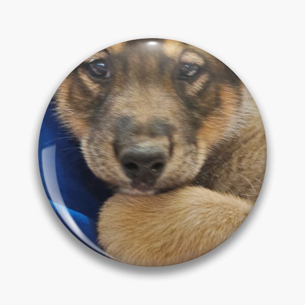 Item preview, Alaskan Husky, Sled Dog, Puppy, Iditarod, Future Champion  designed and sold by Nancy Bateman.